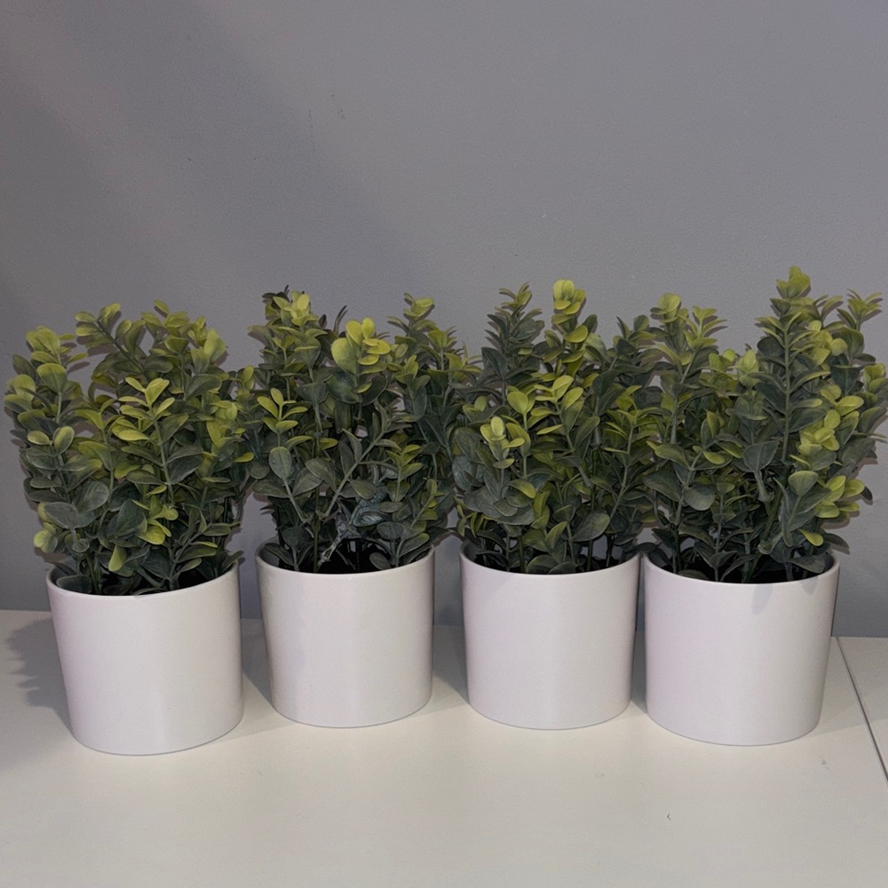 Target Faux Greenery in White Planters - Set of 4